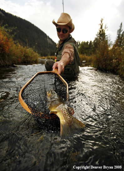 Flyfisherman Netting Large Brown Trout