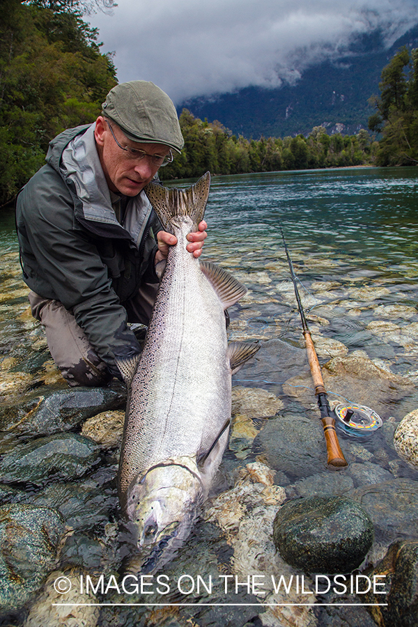 King salmon fishing in Chile.