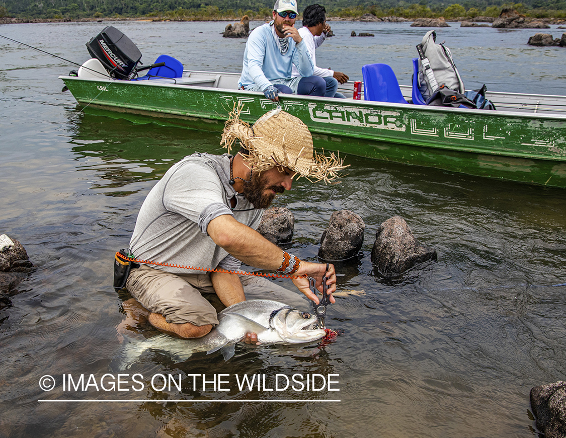 Flyfisherman with payara.