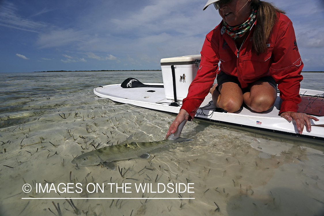 Saltwater flyfishing woman on paddle board releasing bonefish.