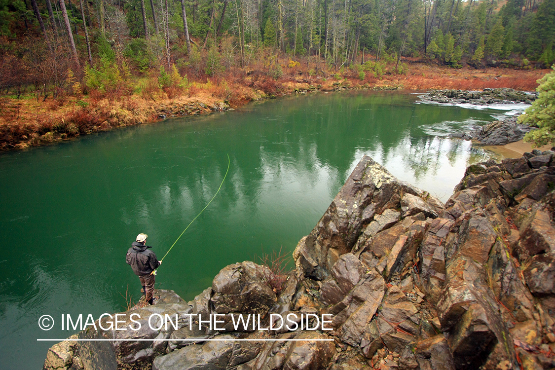 Flyfisherman on river. 