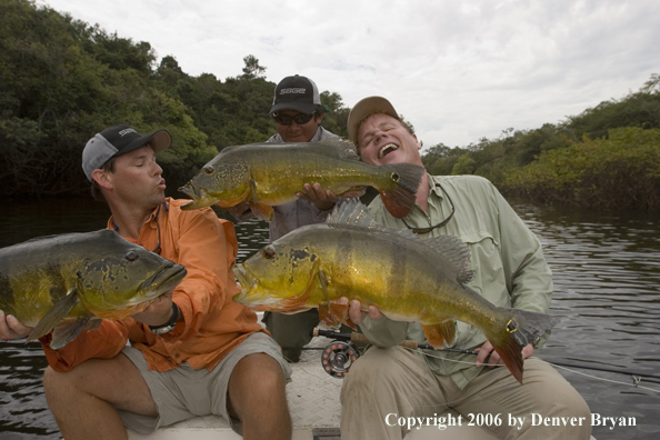 Fishermen holding Peacock Bass