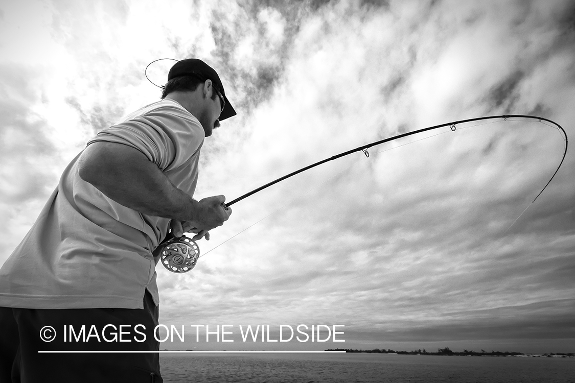 Flyfisherman fighting with fish.