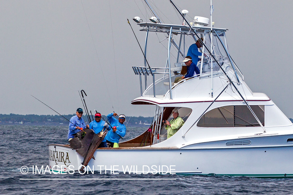 Fishermen with sailfish.