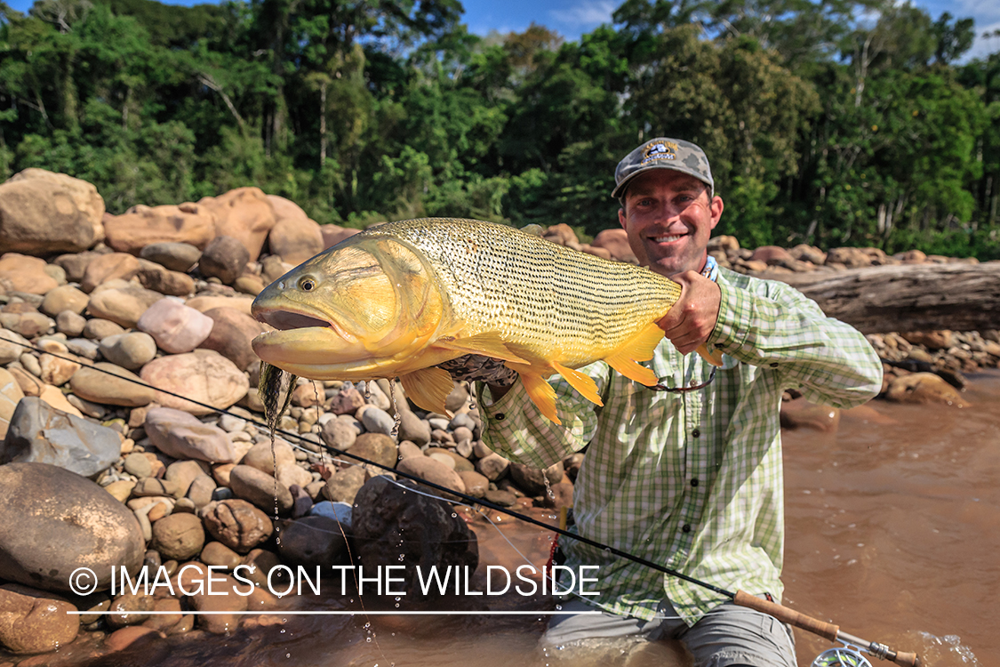 Flyfishing for Golden Dorado in Bolivia.