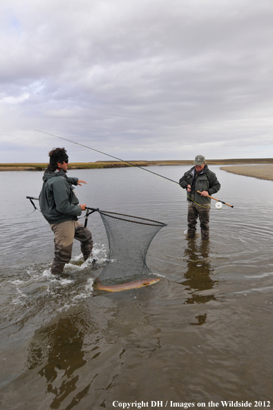 Flyfisherman with large brown trout. 