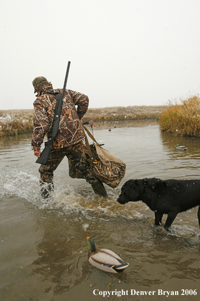 Duck hunting in winter