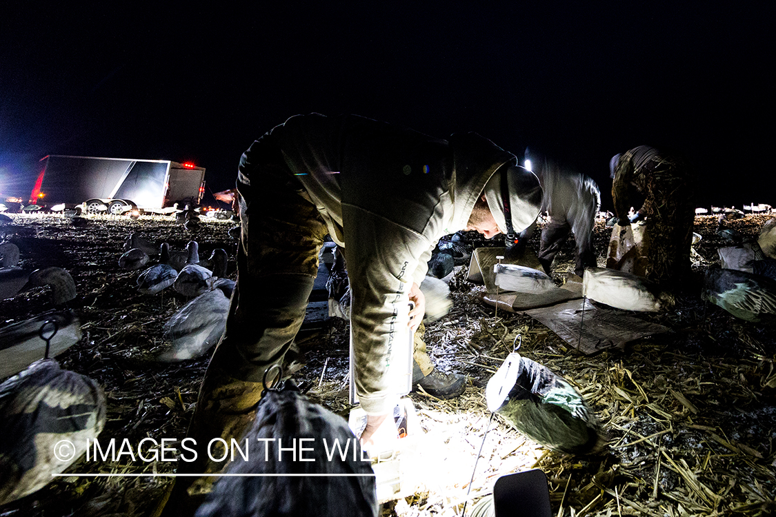 Setting up decoys at dawn. 
