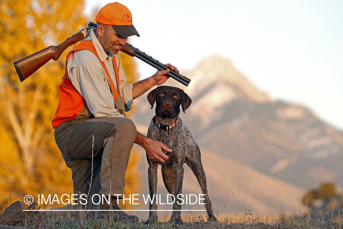 Upland game bird hunter in field with Griffon Pointer.