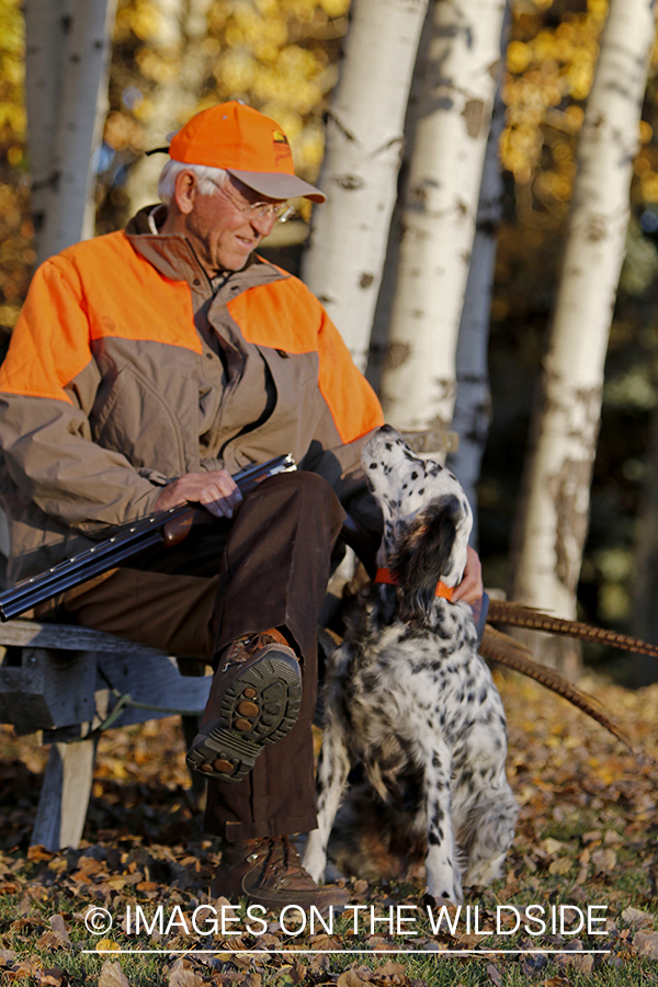 Hunter with English Setter in autumn.