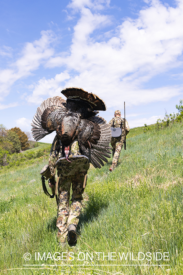 Hunters with bagged turkey.