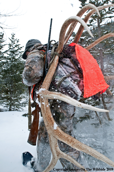 Hunter with elk rack