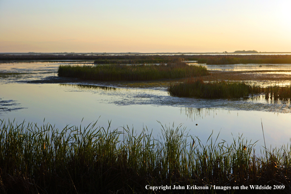 Sunset on wetlands