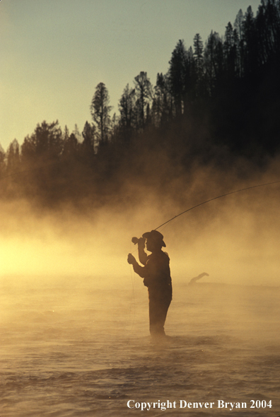 Flyfisherman casting in river.