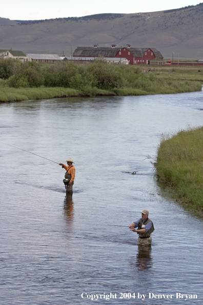 Flyfishermen fishing river.  Summer.