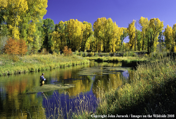 Fall Flyfishing