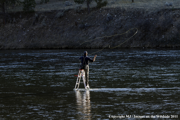 Flyfisherman casting from ladder in middle of river.