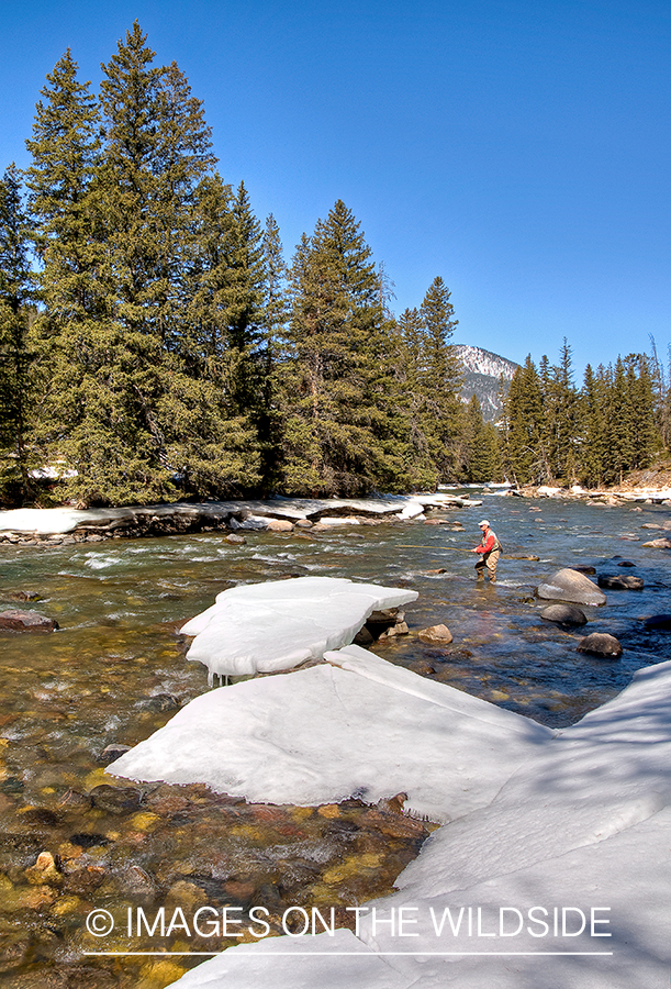 Flyfisherman on Gallitan River, MT in winter.