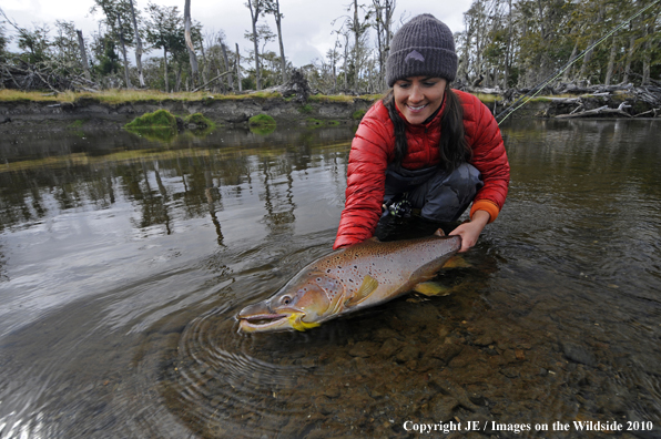 Flyfisherwoman with Nice Brown Trout