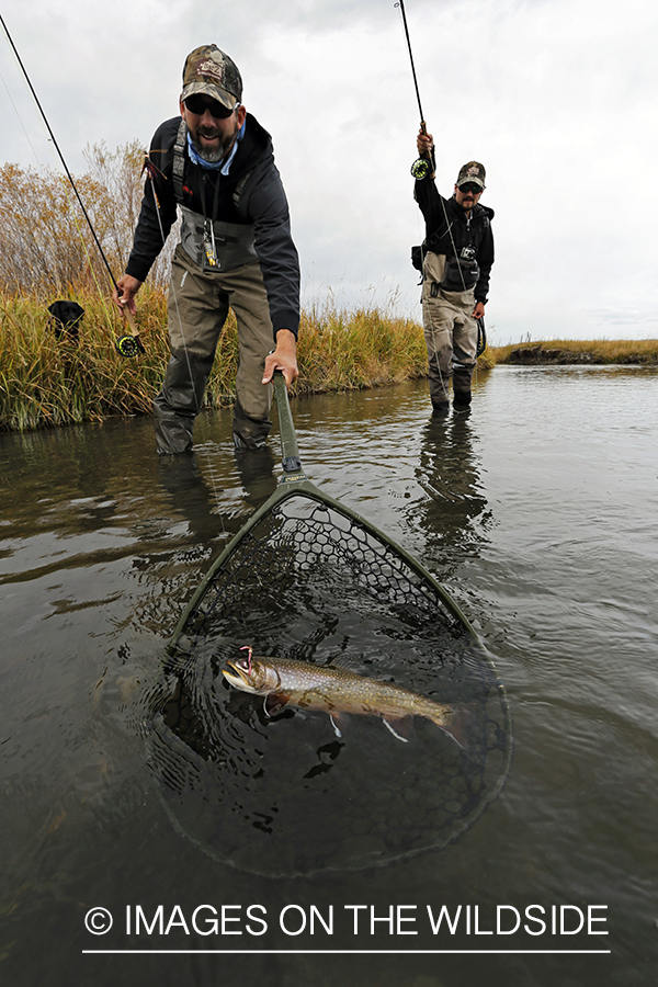 Flyfishermen with bagged trout in net.