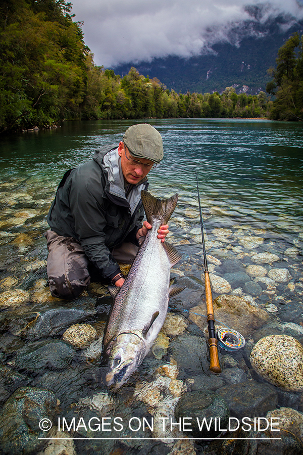 King salmon fishing in Chile.