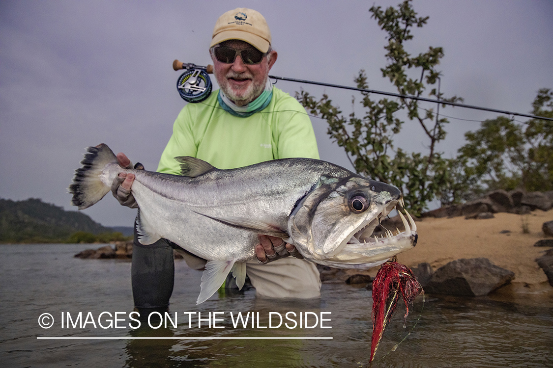 Flyfisherman with payara.