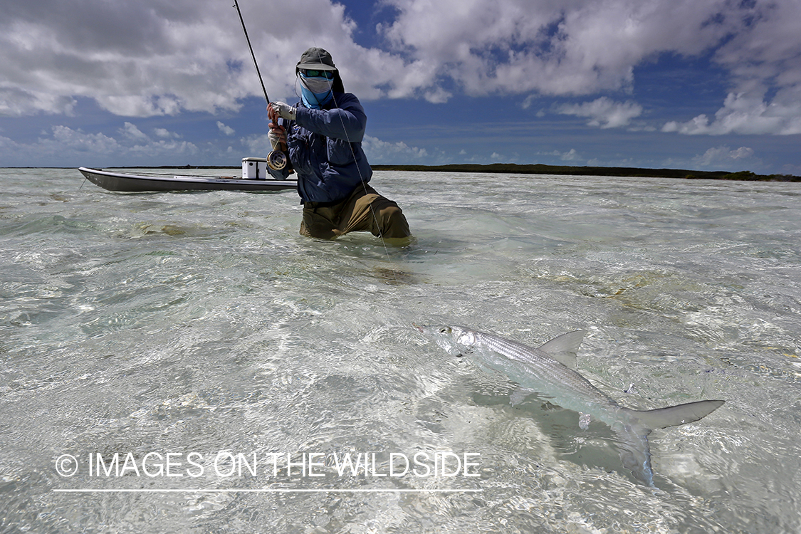 Flyfisherman fighting bonefish.