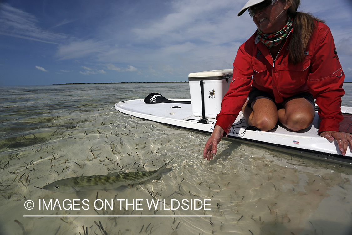 Saltwater flyfishing woman on paddle board releasing bonefish.