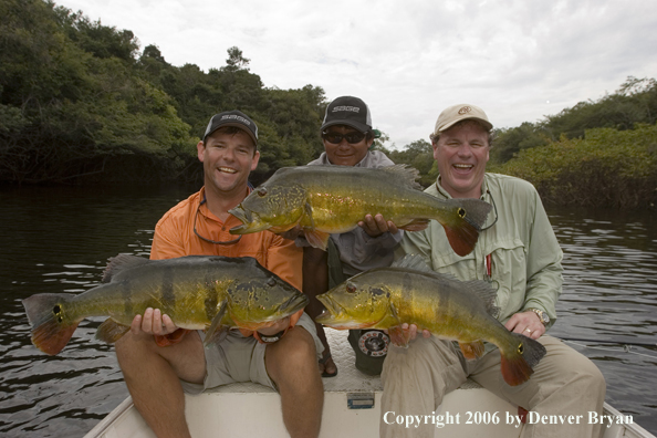 Fishermen holding Peacock Bass