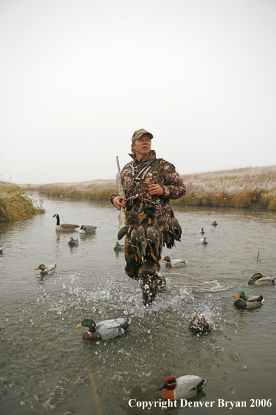 Duck hunting in winter