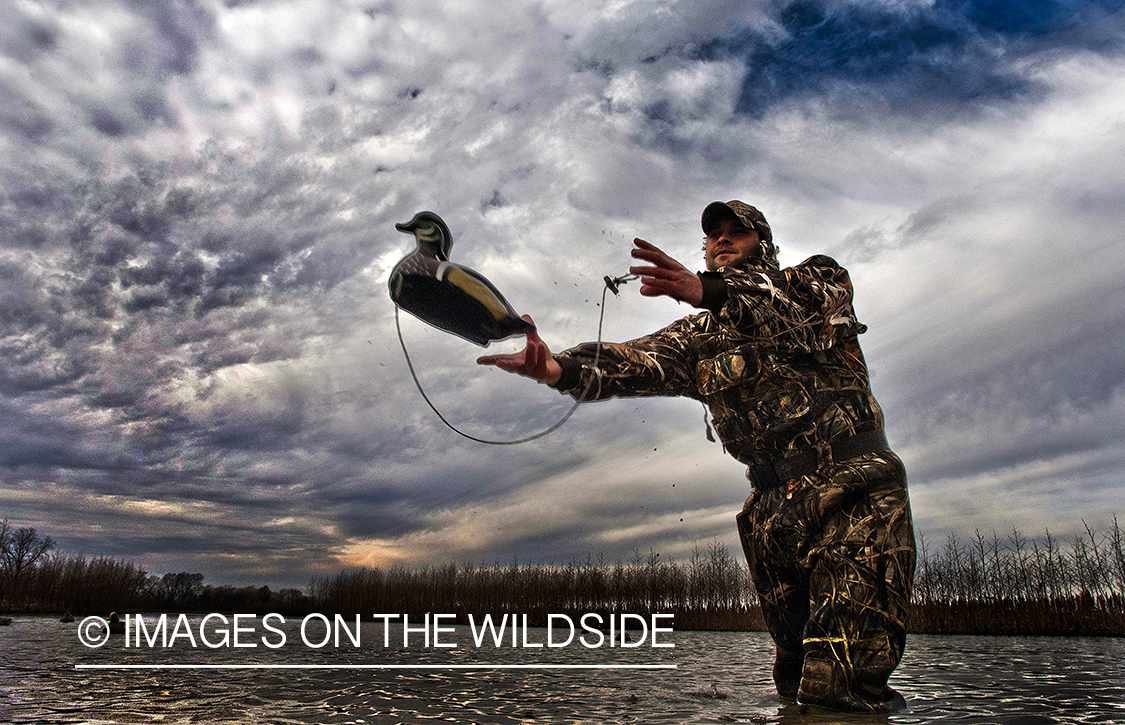 Waterfowl hunter setting up duck decoys.