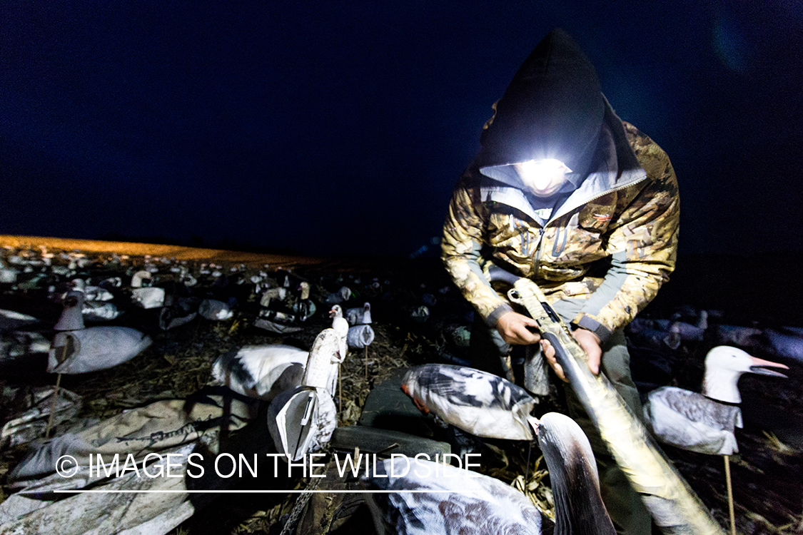 Setting up decoys at dawn. 
