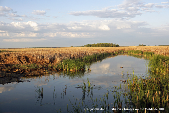 Wetlands on National Wildlife Refuge