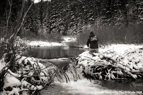 Flyfisherman fishing stream.