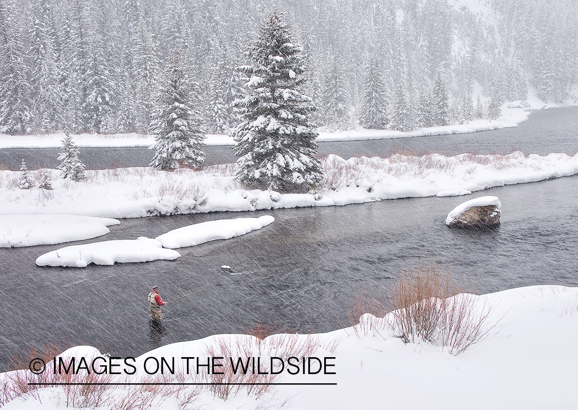 Flyfisherman on Madison River, MT in winter.