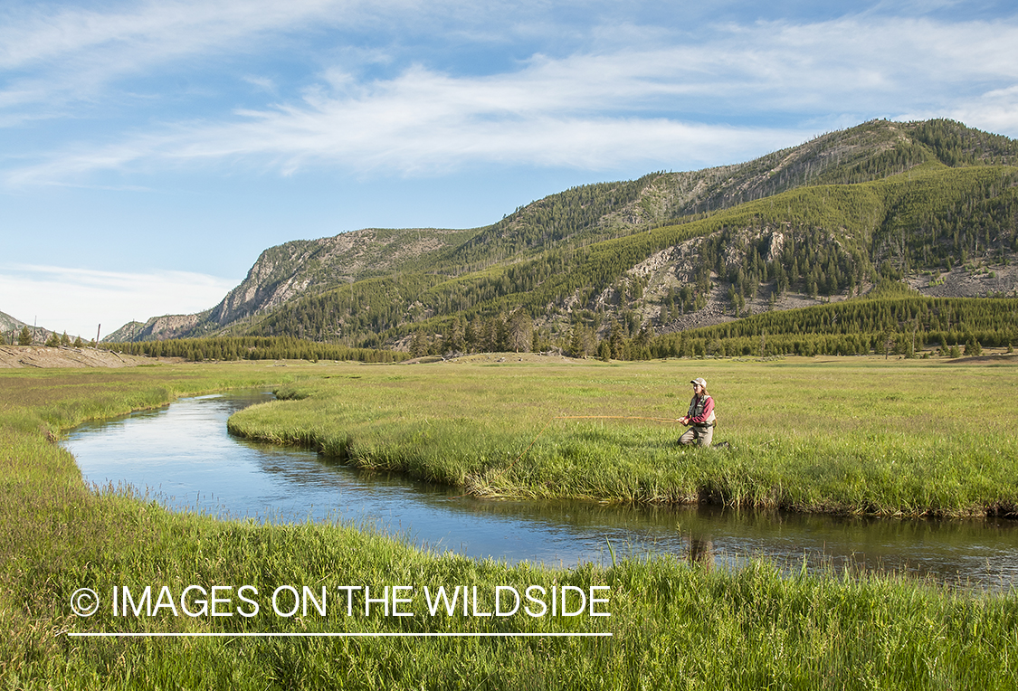 Flyfishing on Madison River, Montana.