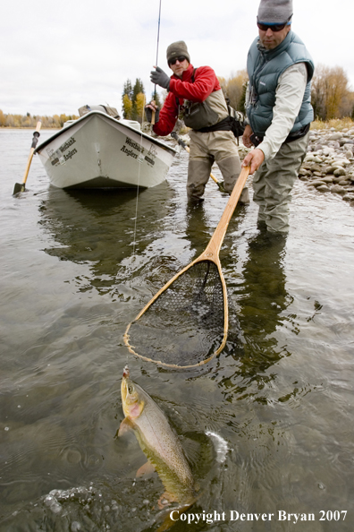 Flyfisherman landing Snake River cutthroat trout with guide netting.