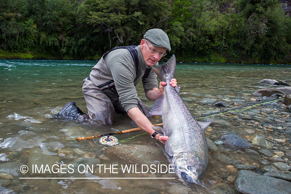 King salmon fishing in Chile.