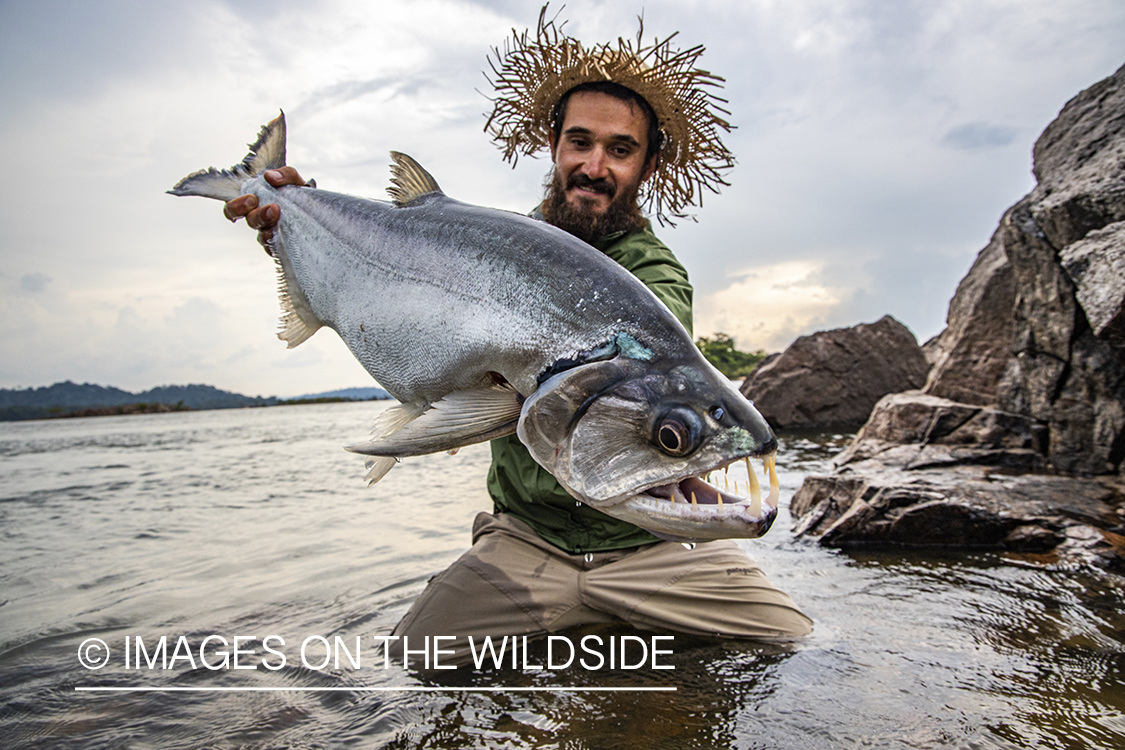 Flyfisherman with payara.