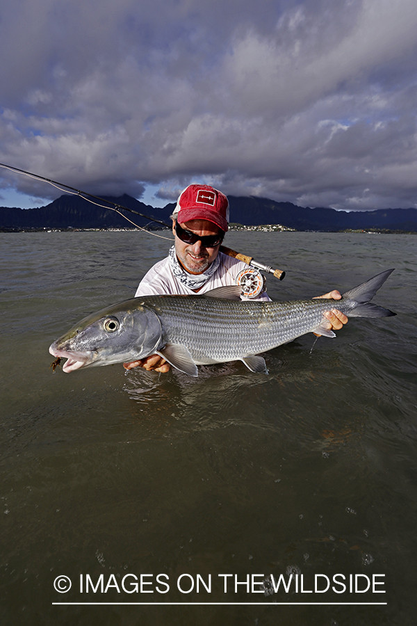 Saltwater flyfisherman with 13 lb bonefish, in Hawaii.