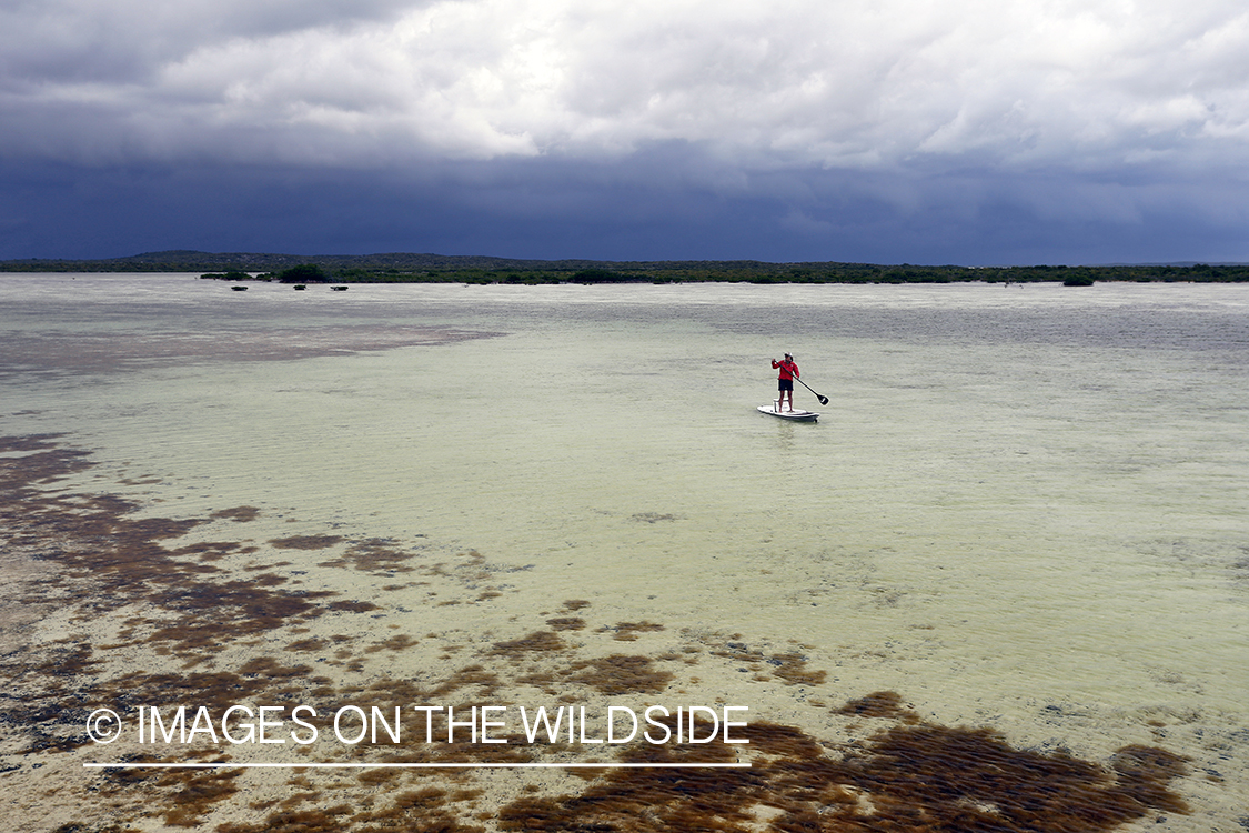 Saltwater flyfishing woman on paddle board on flats.