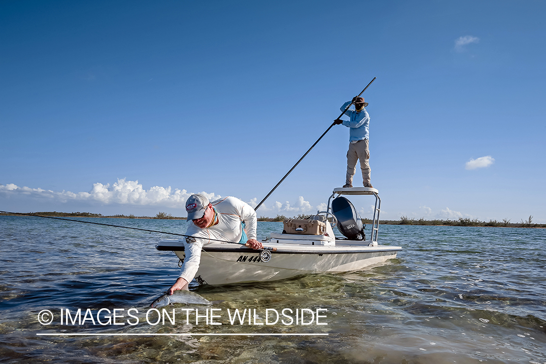 Flyfisherman releasing Bonefish.