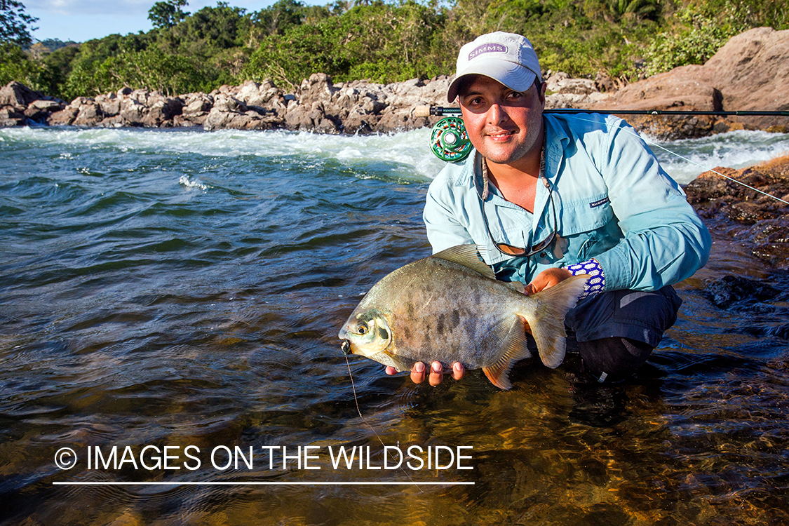 Flyfisherman with piranha on river in Kendjam region, Brazil.