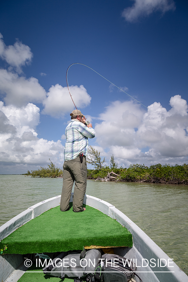 Flyfisherman fighting with fish.