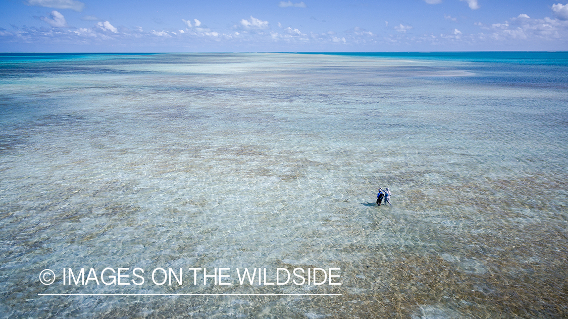 Drone aerial shot of fisherman on St. Brandon's Atoll Flats.