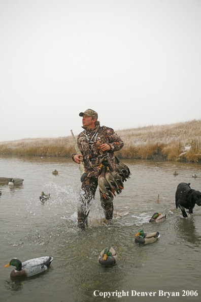 Duck hunting in winter