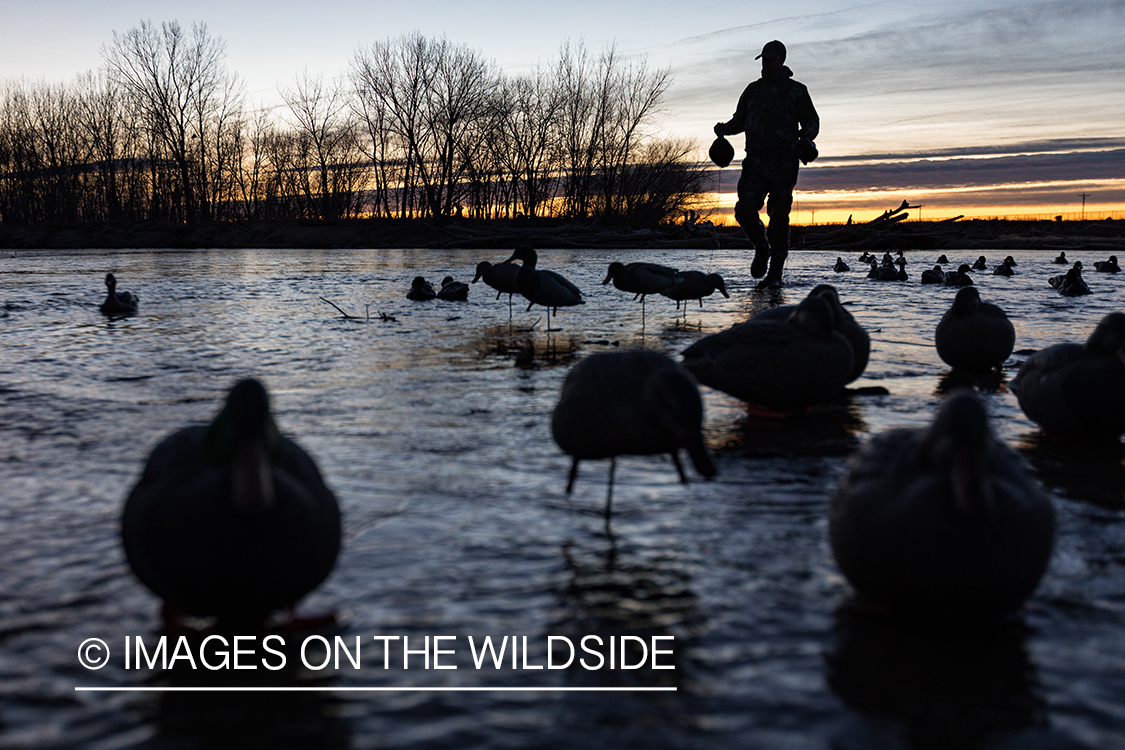 Waterfowl hunting