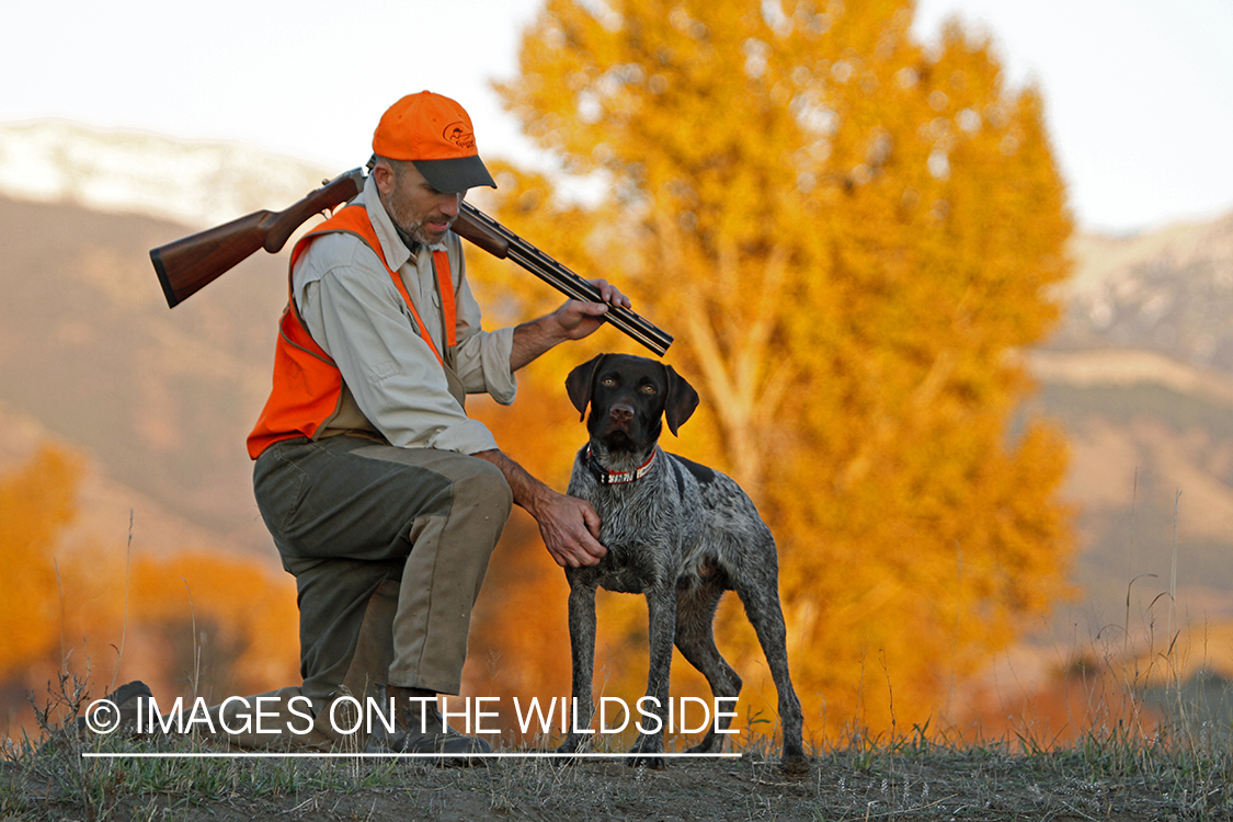 Upland game bird hunter in field with Griffon Pointer.