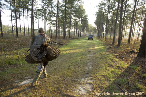 Turkey hunter in field with bagged bird