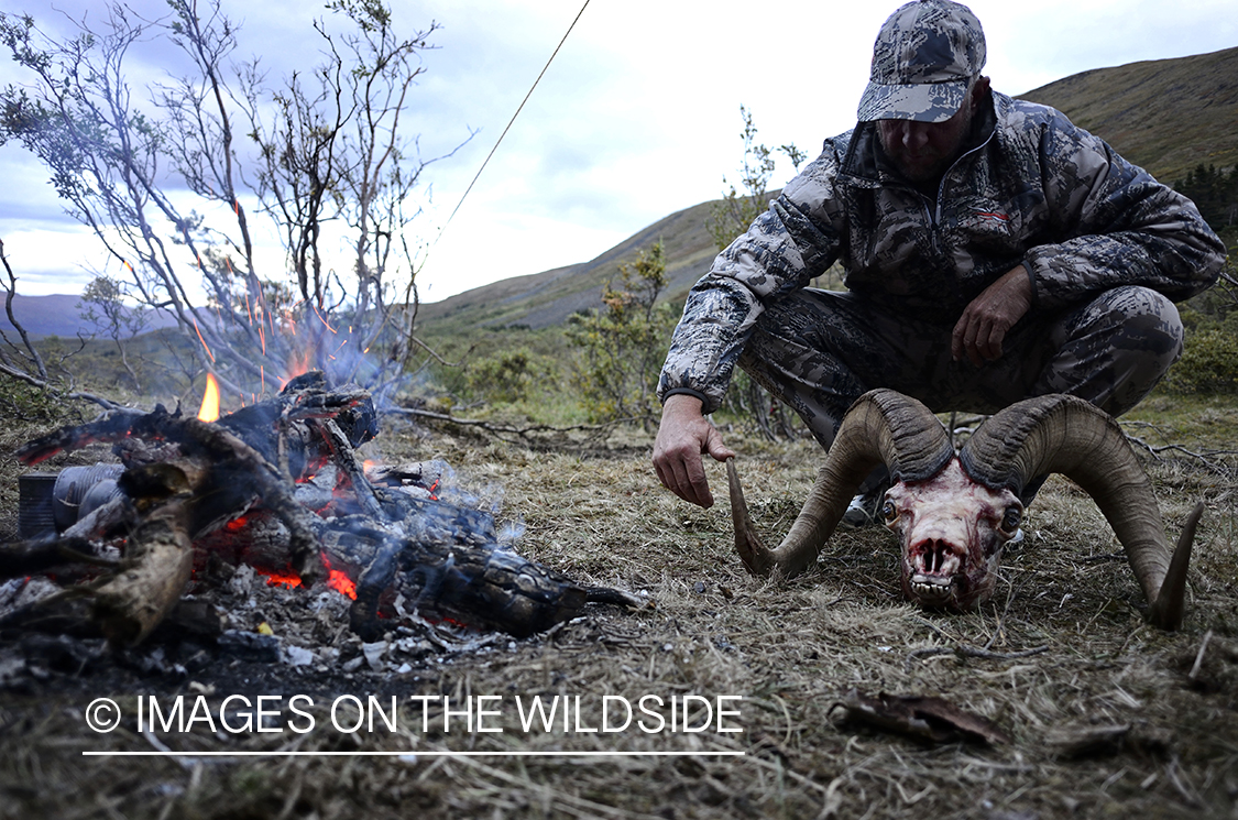 Stone sheep and Mountain goat hunting.